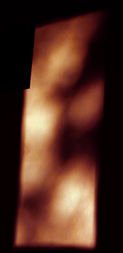Shadows on the wall - Nu without naked body 