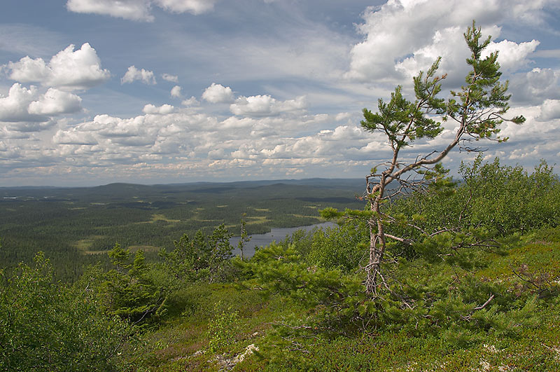 *** природа Карелия