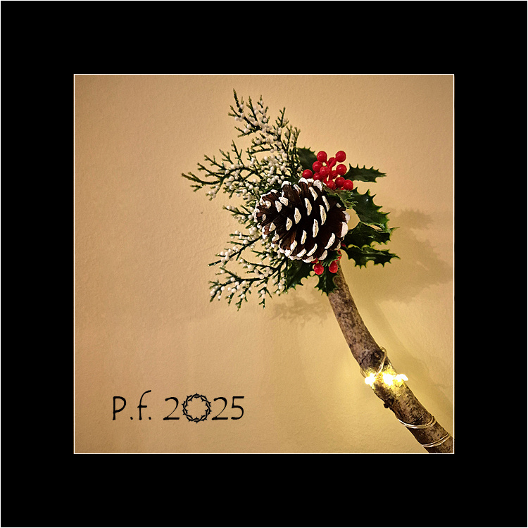 PF 2025 