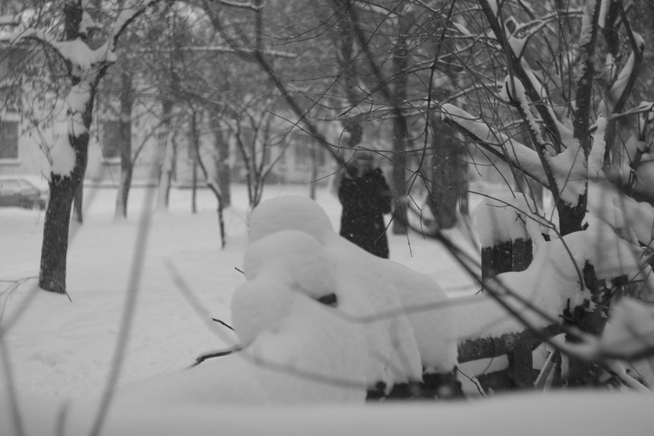 Eternal winter, chapter three winter urbanlandscape streetphoto woods silhouette person