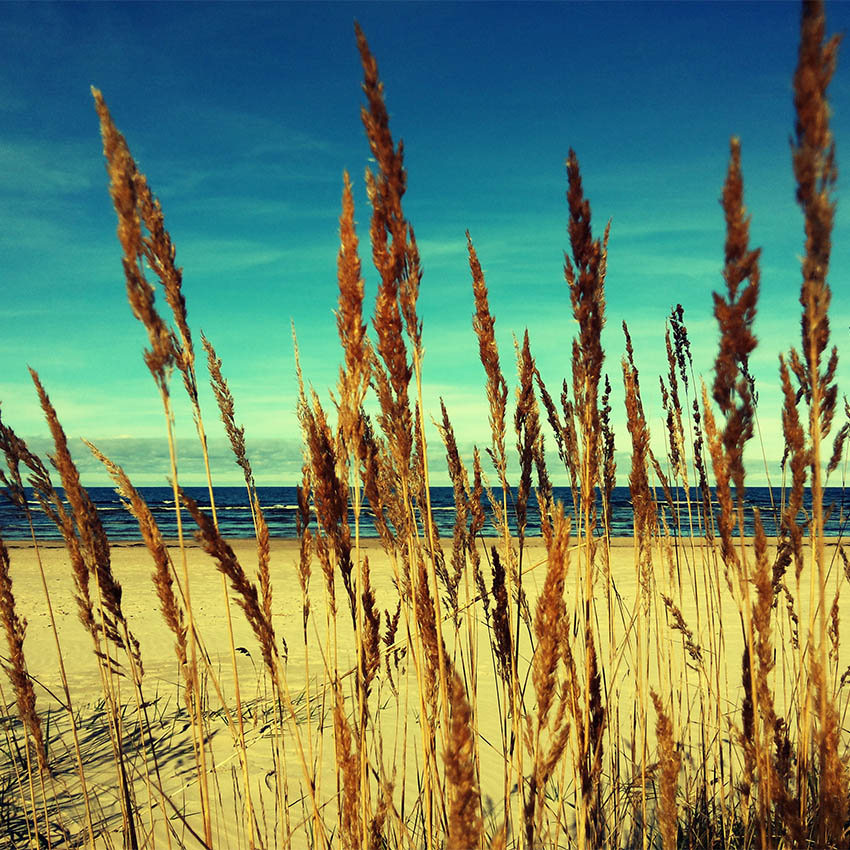 12.10.2013 Latvia, Jurmala, october, autumn, sea, Латвия, Юрмала, осень, октябрь, море