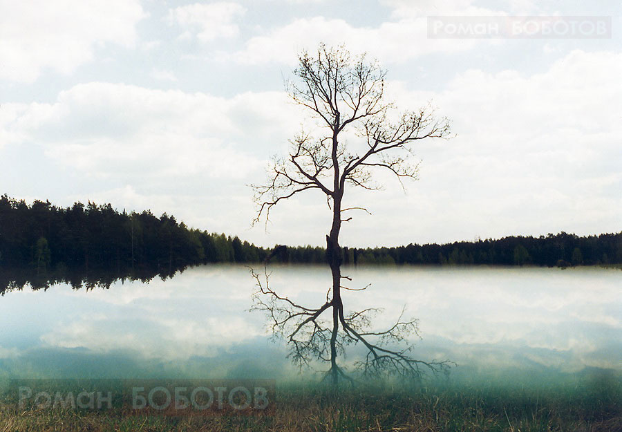 Отражение боботов, пейзаж, дерево,природа,отражение