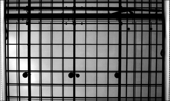 cage 