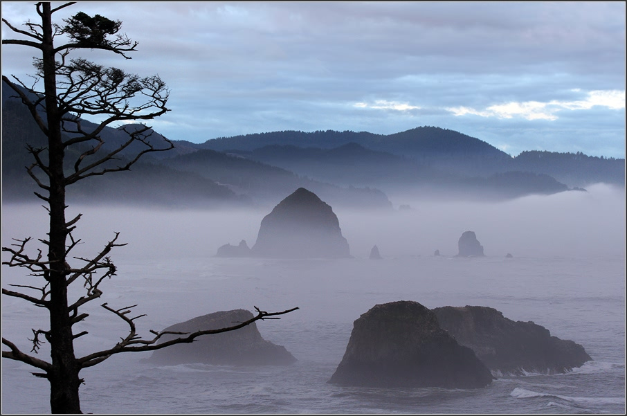 Cannon Beach. Oregon. Morning Cannon Beach