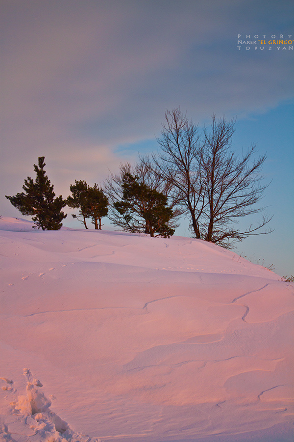 Winter Sunset 