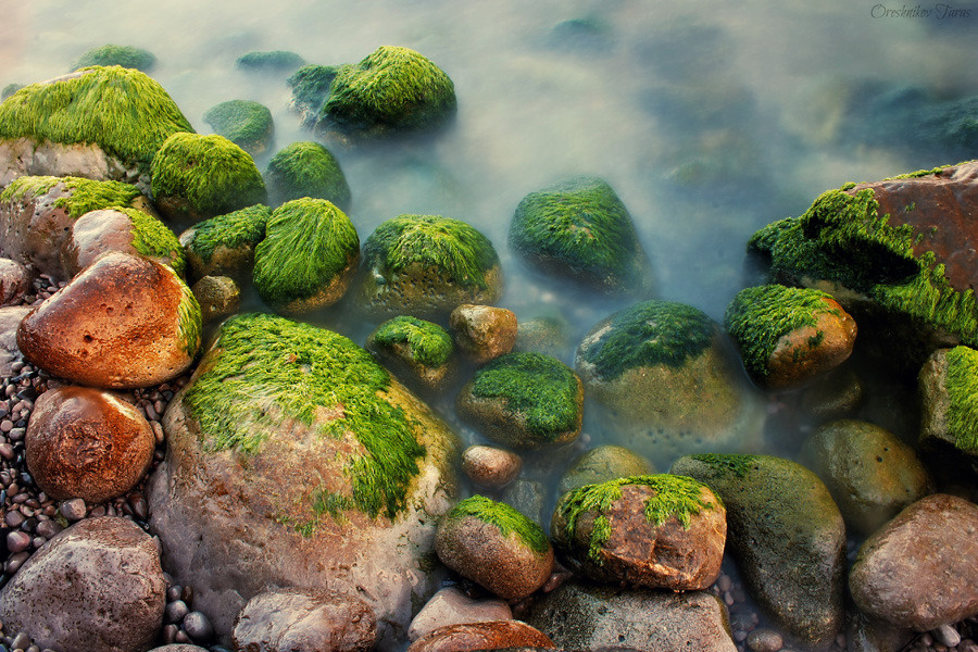 "морские" море,природа,вода,камни,пляж