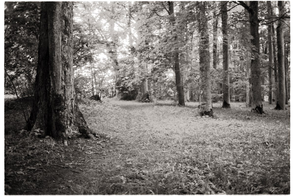 *** fdn 35/2 tmax100