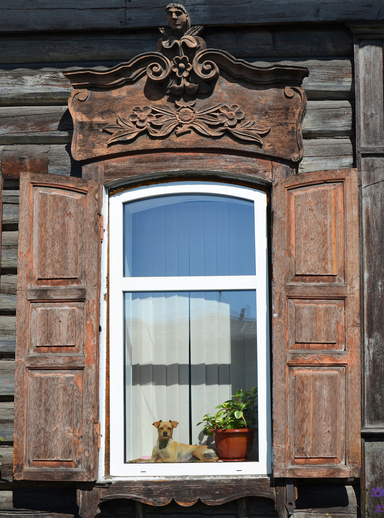 композиция окно собачка