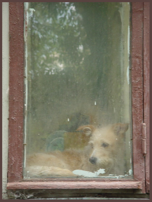 Пленник 