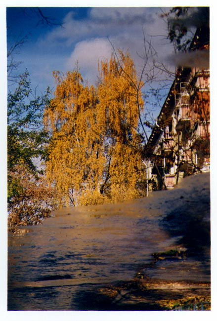 осень без луж - не осень 