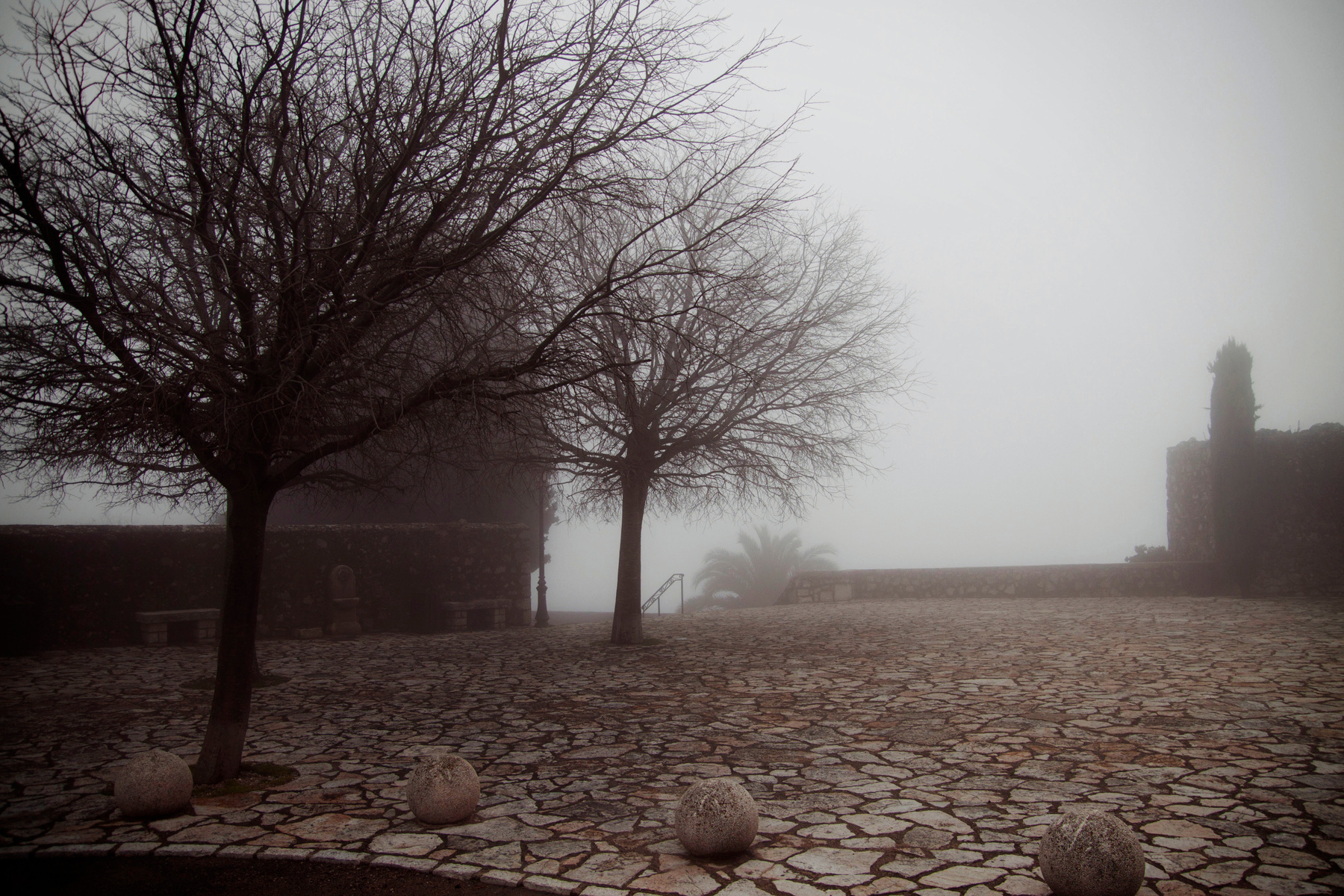 Silent Hill франция, кабри, туман, мистика, дерево