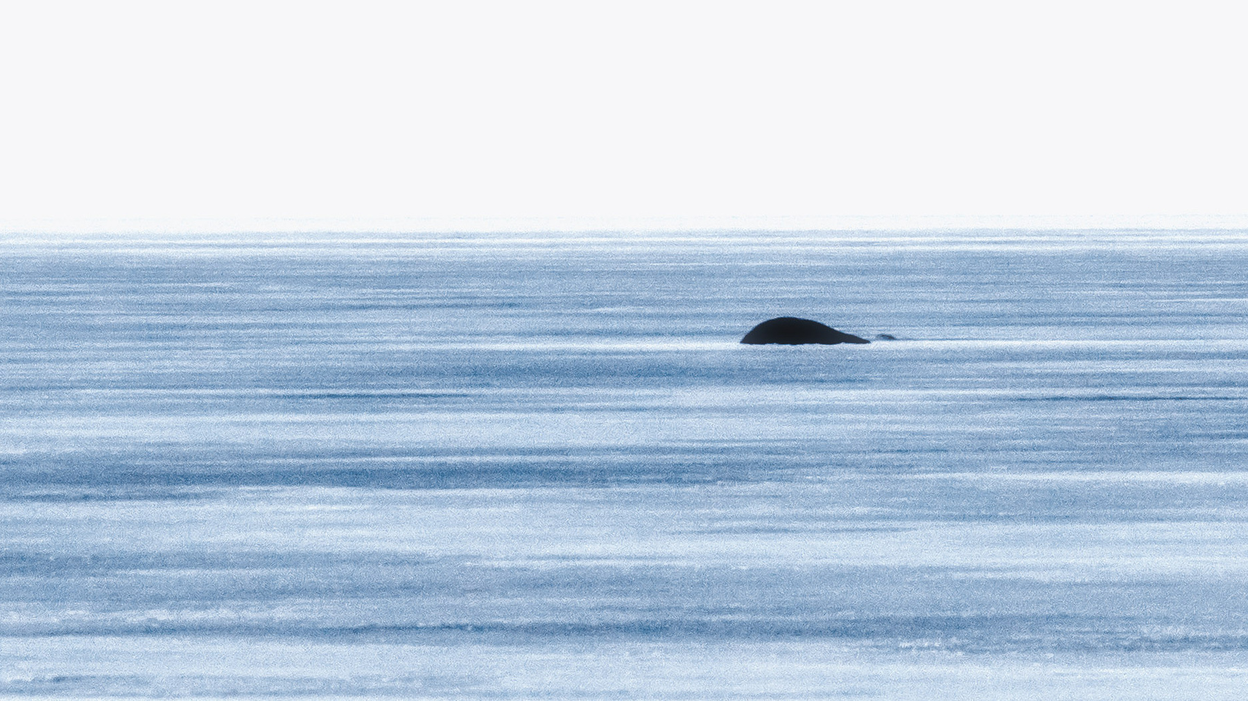 Морская 