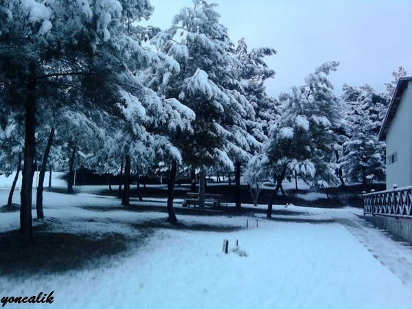 enjoying the snow-2 landscape