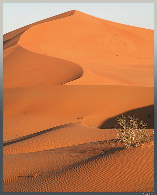 Про минимализм 50-метровой дюны Ar Rub al Khali