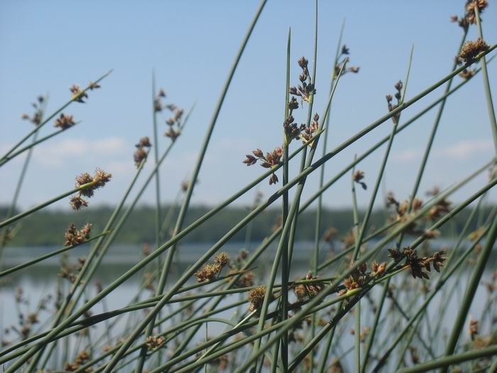 У воды у воды