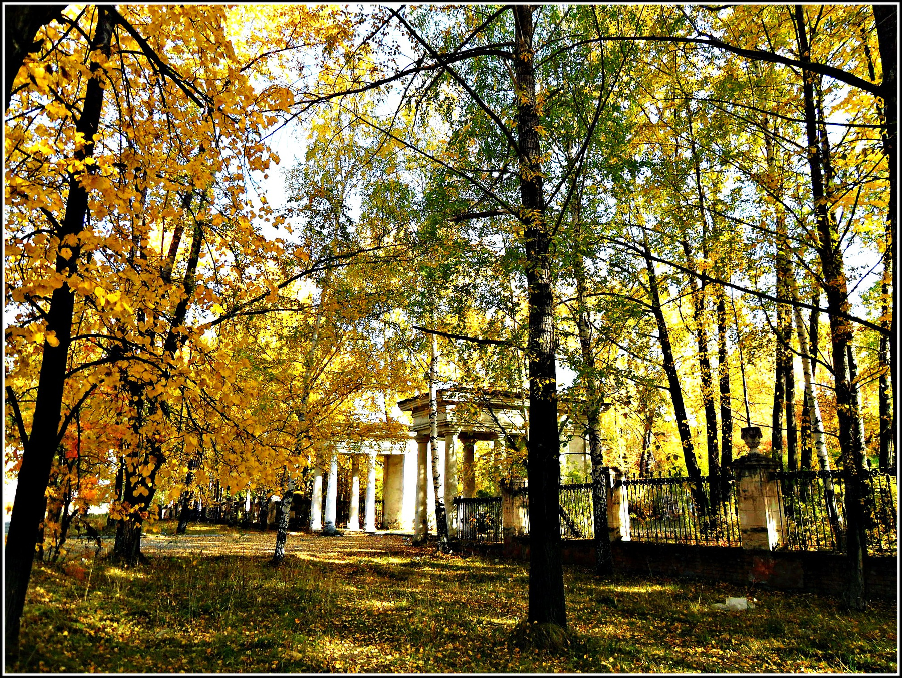 ***Осень,осень... 