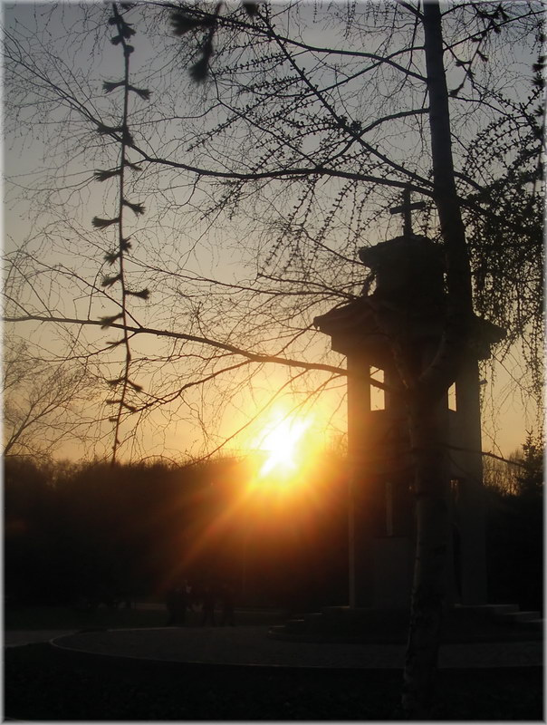 Весенний закат весна, закат, солнце, почки, дерево