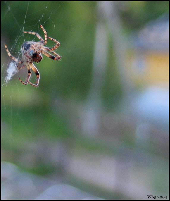 it's coming to get you.. 