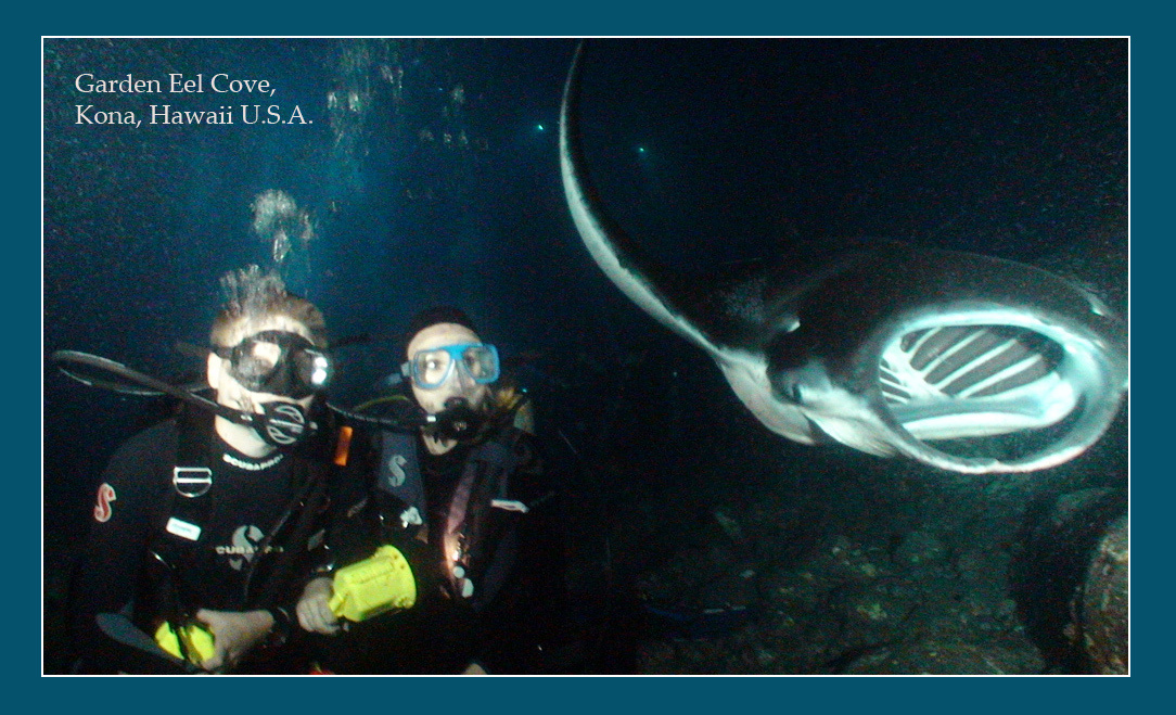 Погружение в Космос Kona, Big Island, Hawaii, scuba diving, night dive, mantas