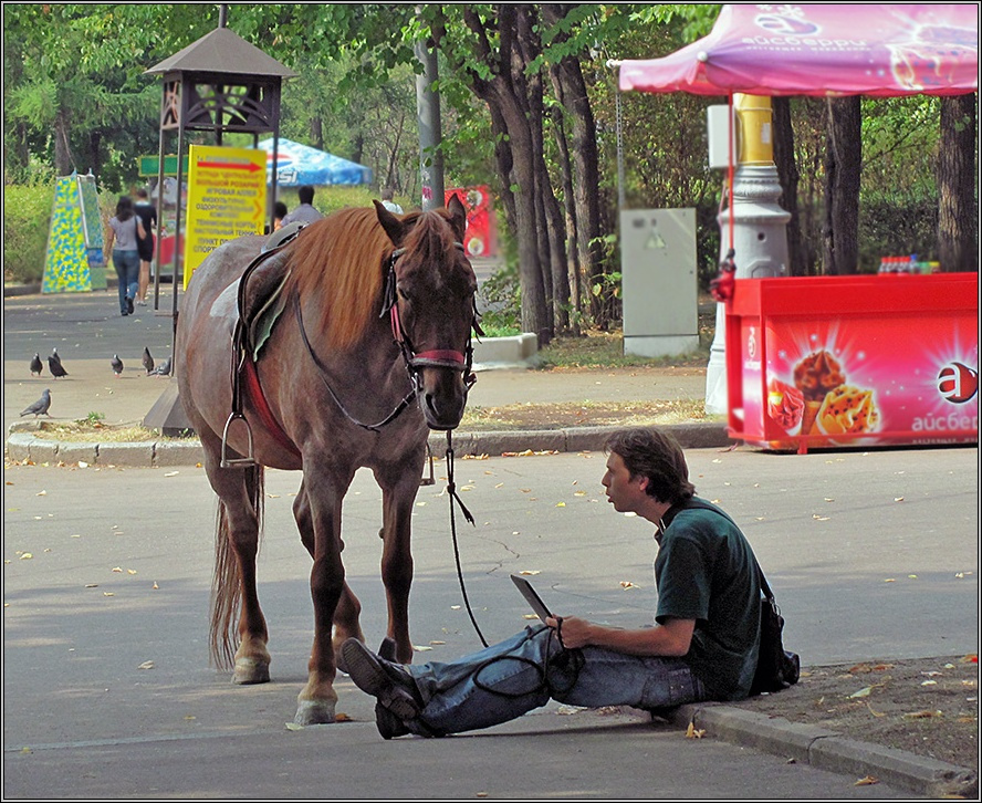 В контакте Москва Сокольники лето
