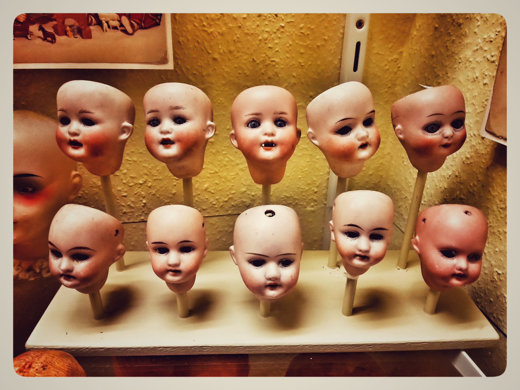 dolls 