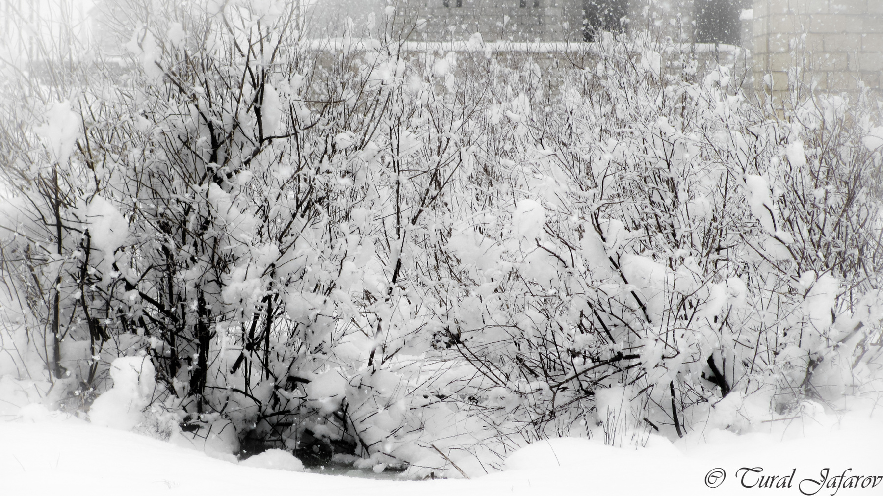 Winter in Baku winter, baku, snow, зима, снег