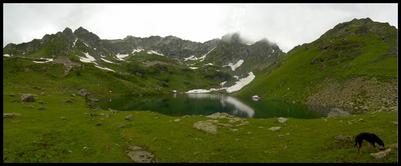 Мзы 
