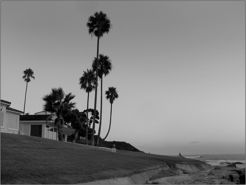 *** ocean