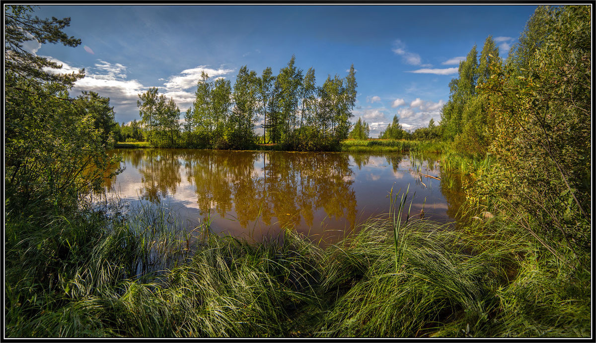 Летний день 