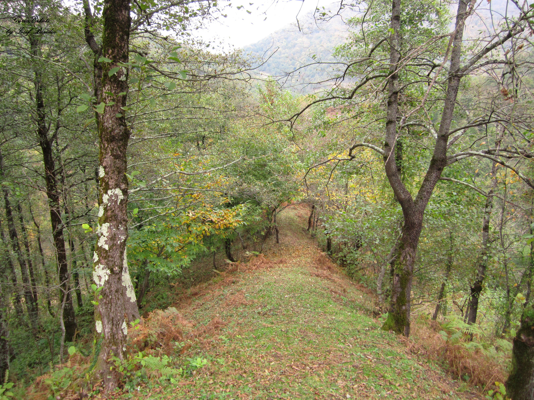 *** Erketi Guria Travel Georgia Грузия Гурия Природа