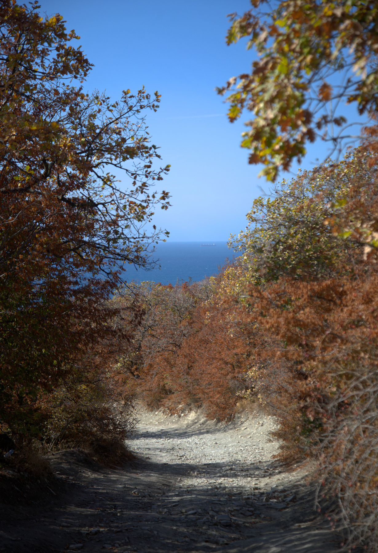 Дорога к морю Море осень камни корабль