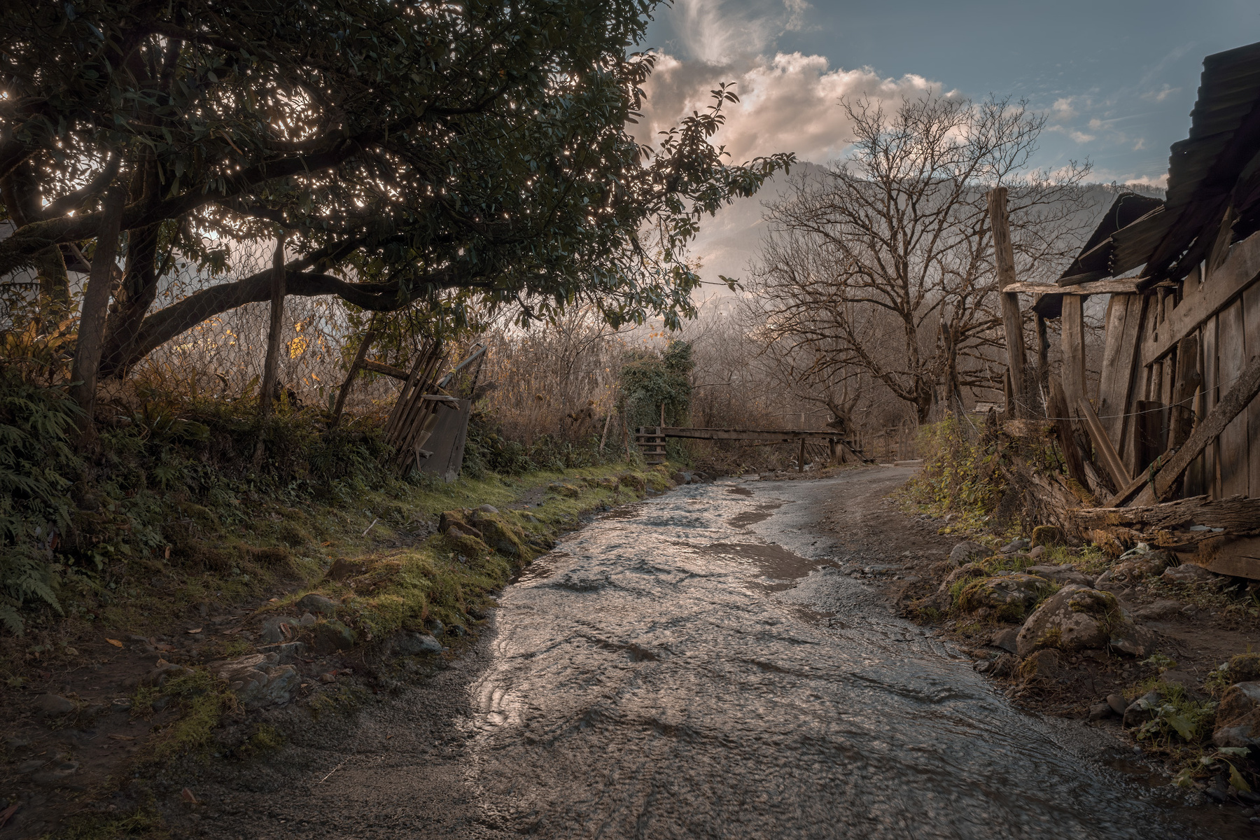 A Bystreet In A Distant Adjarian Village kirnati street creek village trees stones moss water stream nature landscape scenery travel outdoors georgia adjara sakartvelo chizh