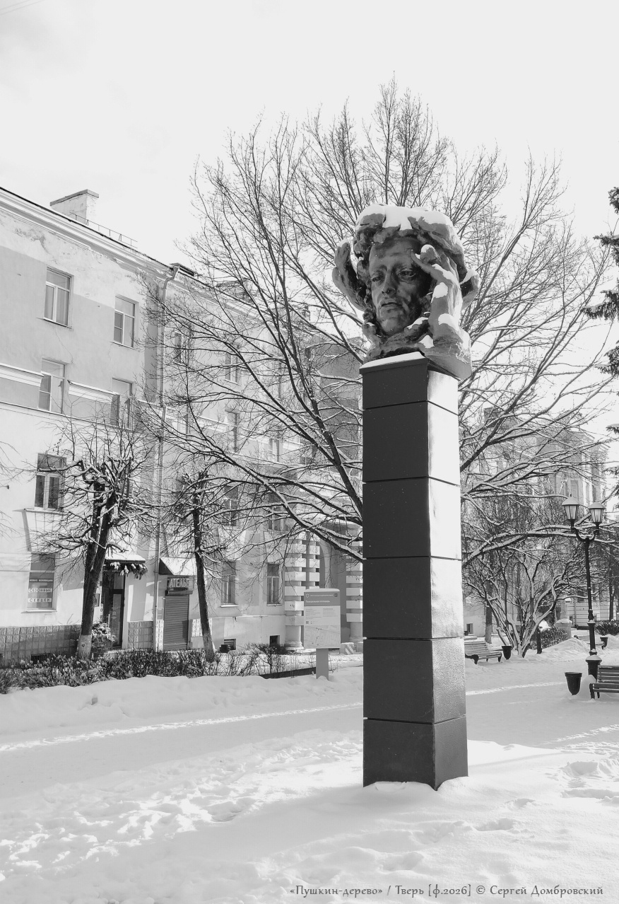 Пушкин-дерево Пушкин дерево