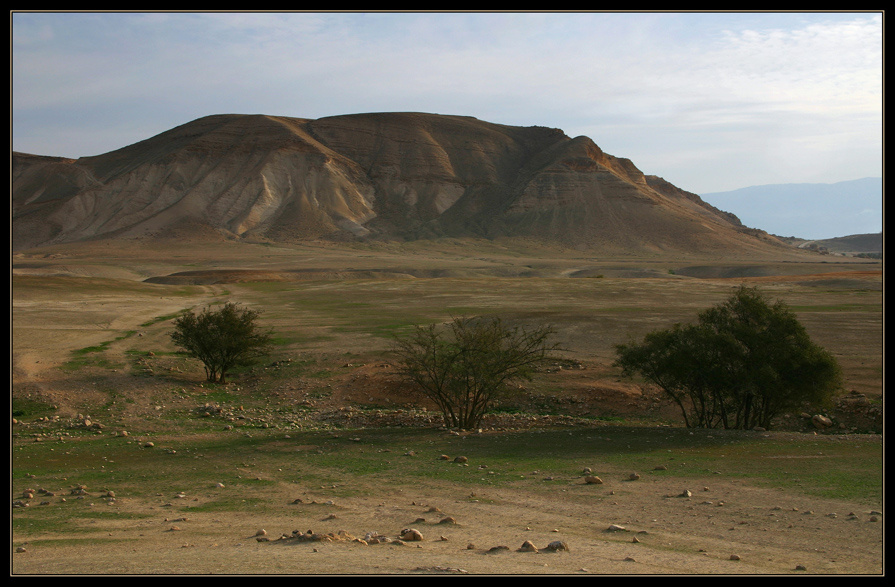 Иорданская долина , утро 2007