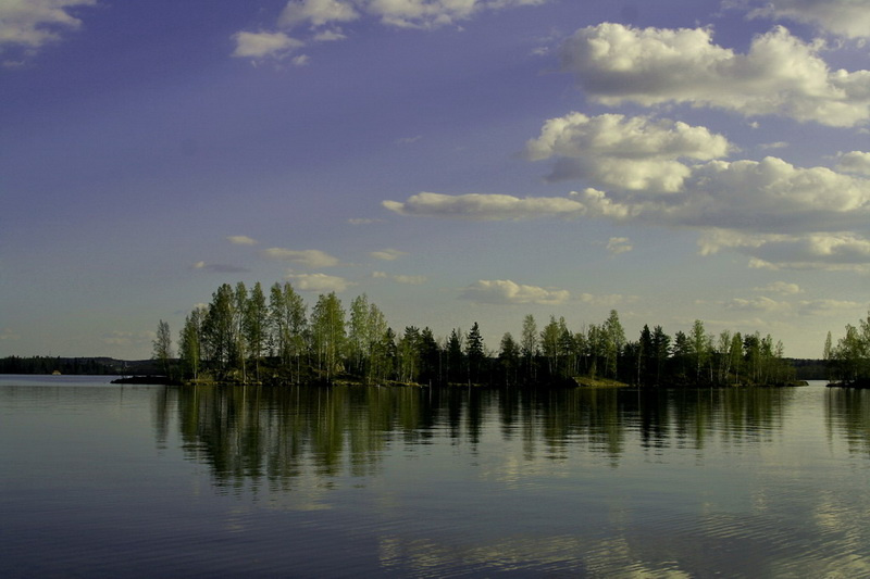 Кардон Кузьмича 