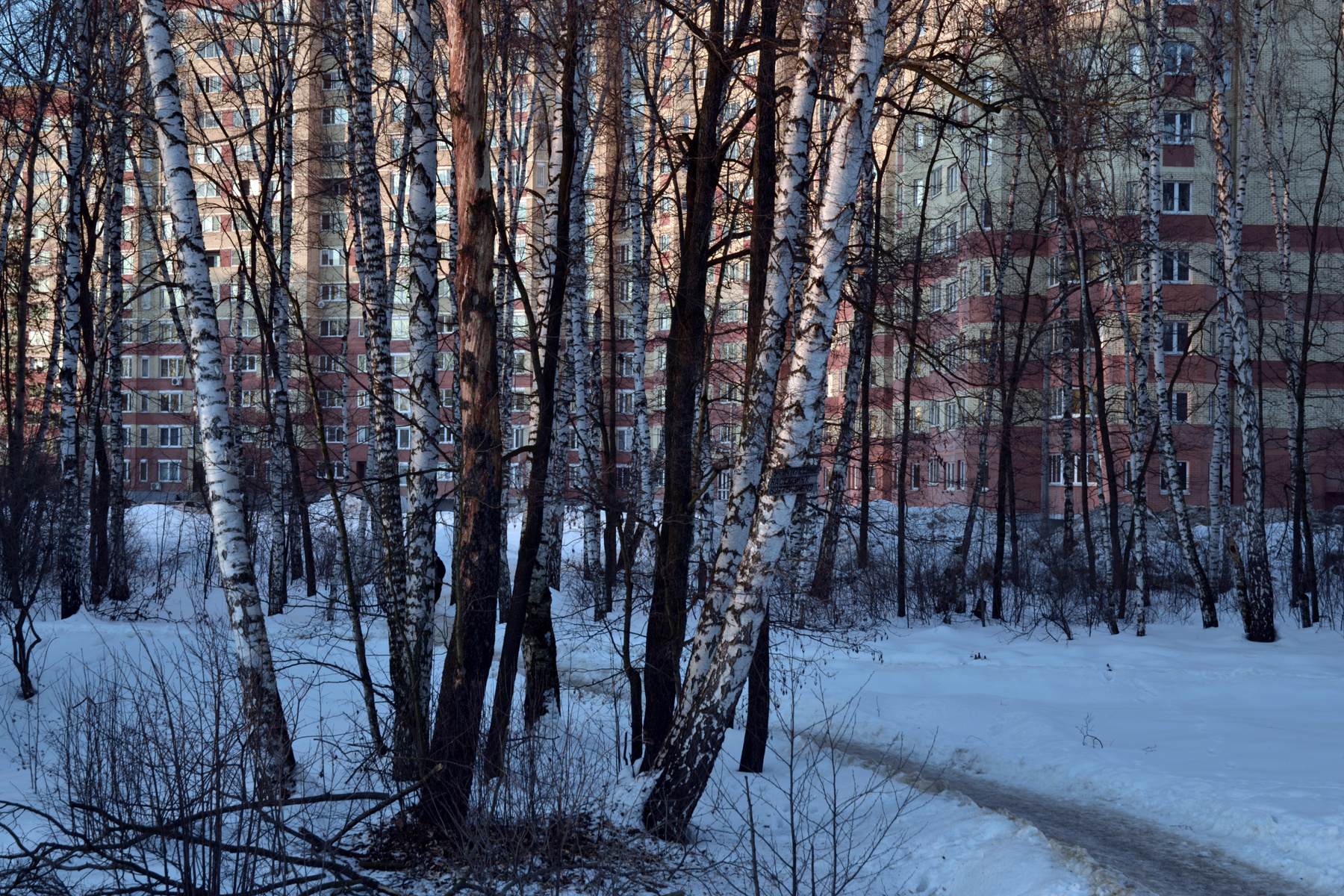 в городе 