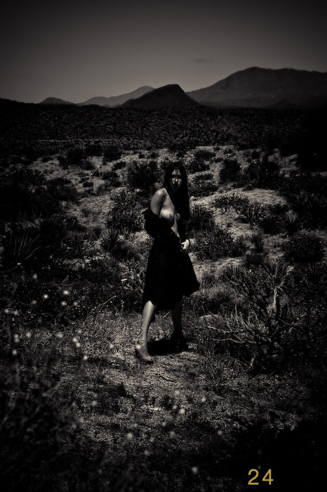 Arizona 