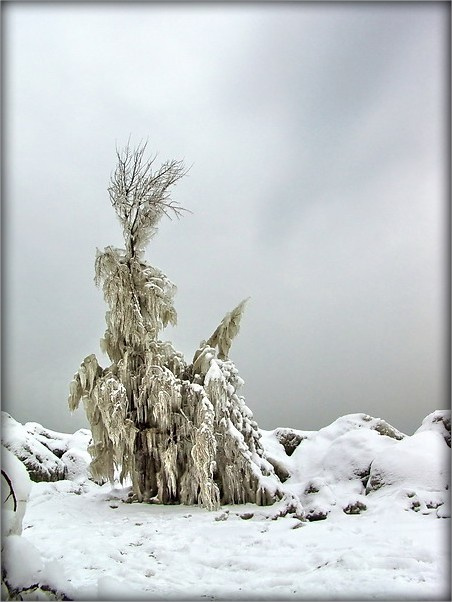 снегу намяло, свята не прыйшло... icewood