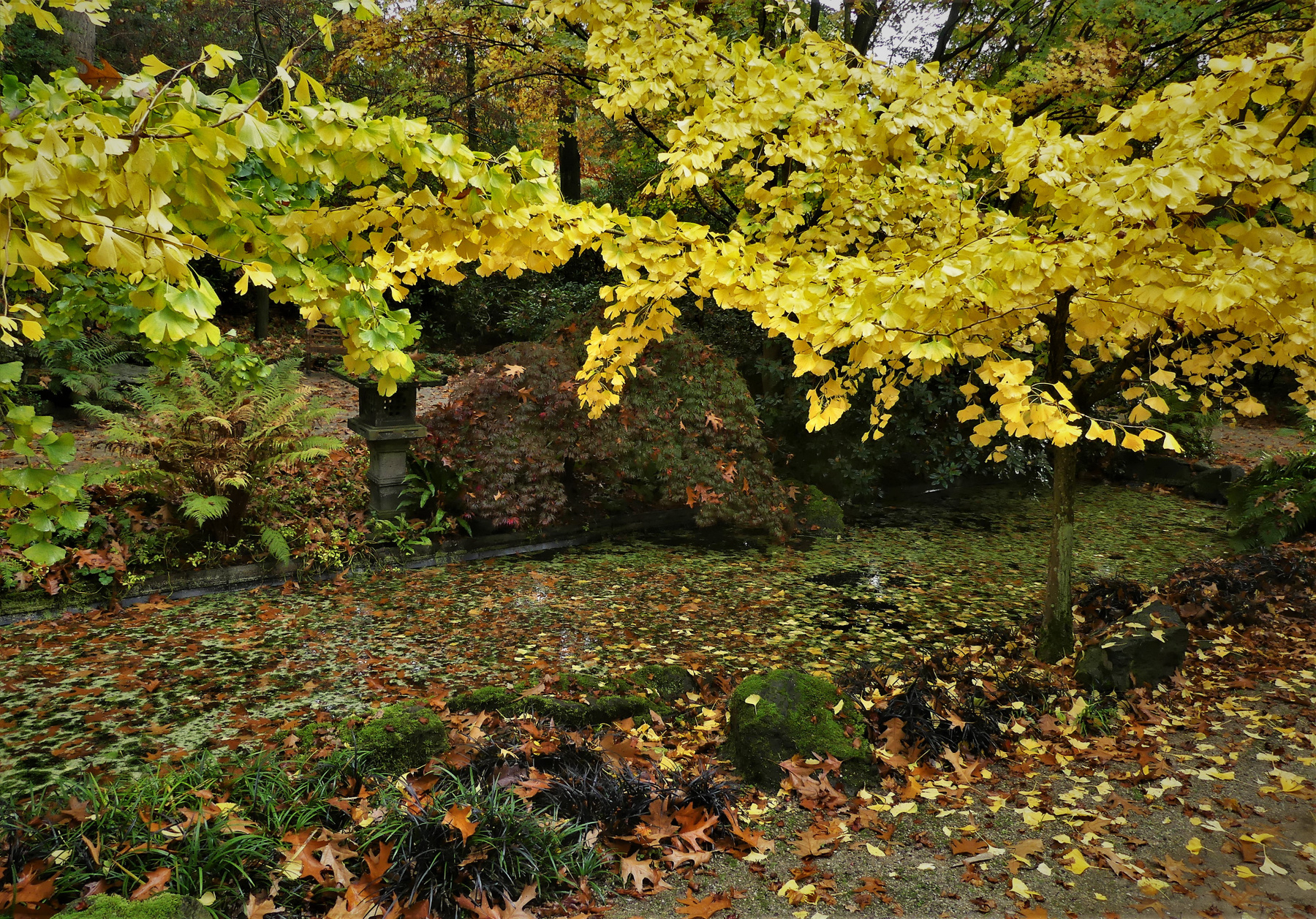 Сады замка Арсен(серия) 
