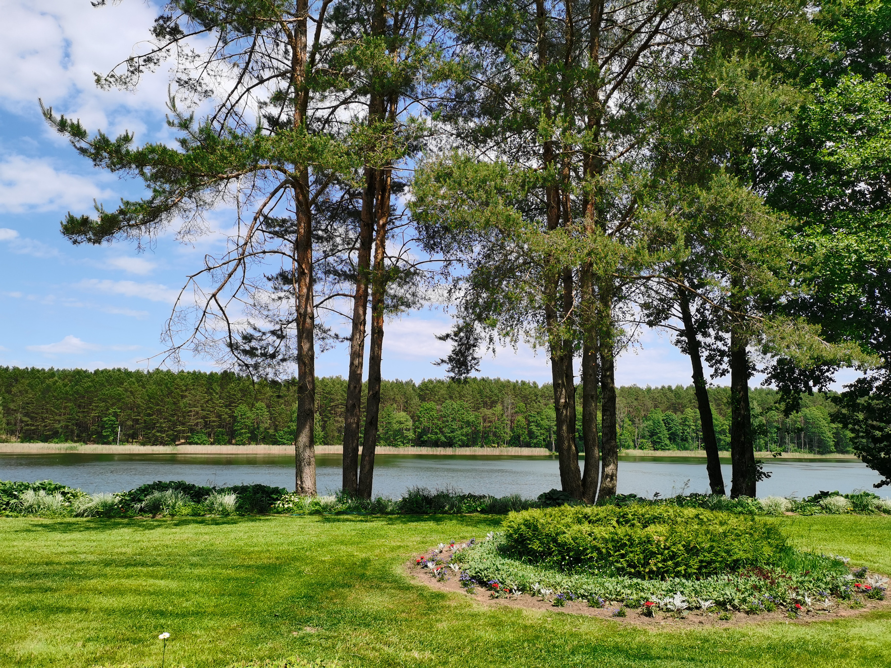 озеро Молочное Гродно. 
