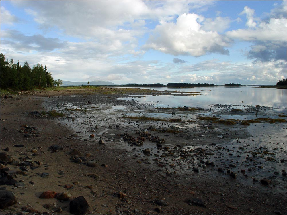 белое море 