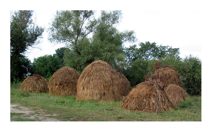 У кого было, пусть вспомнит....))) 
