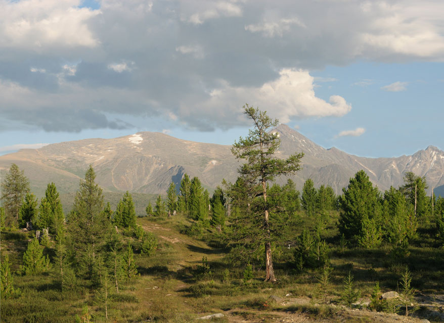 Сибирская Норвегия 