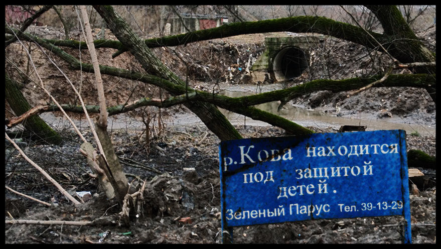 Охраняем природу от окружающей среды? 