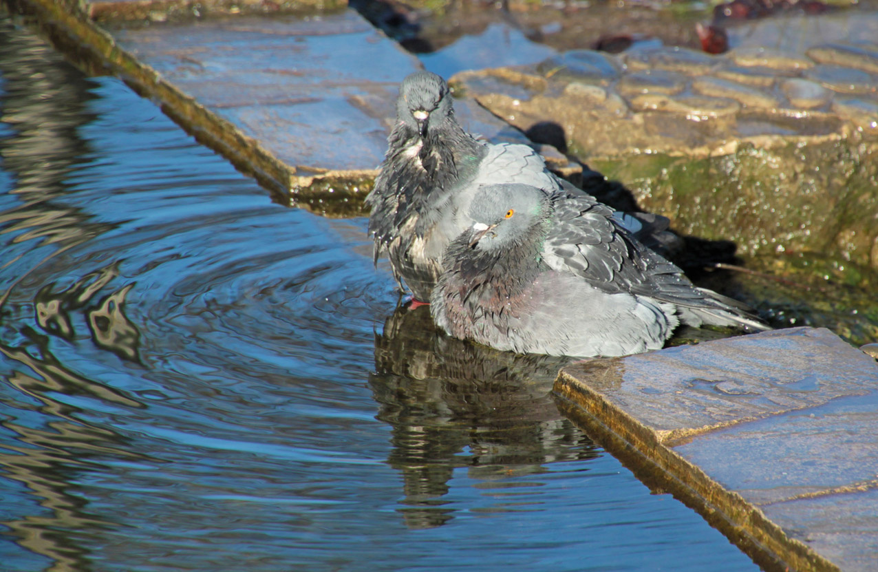 Хорошо сидим! 