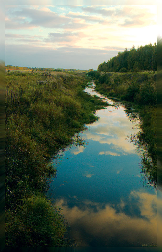 За гранью. поле, лес, ручей