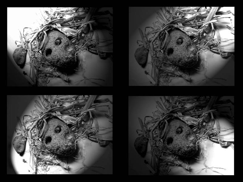 voodoo experiments 