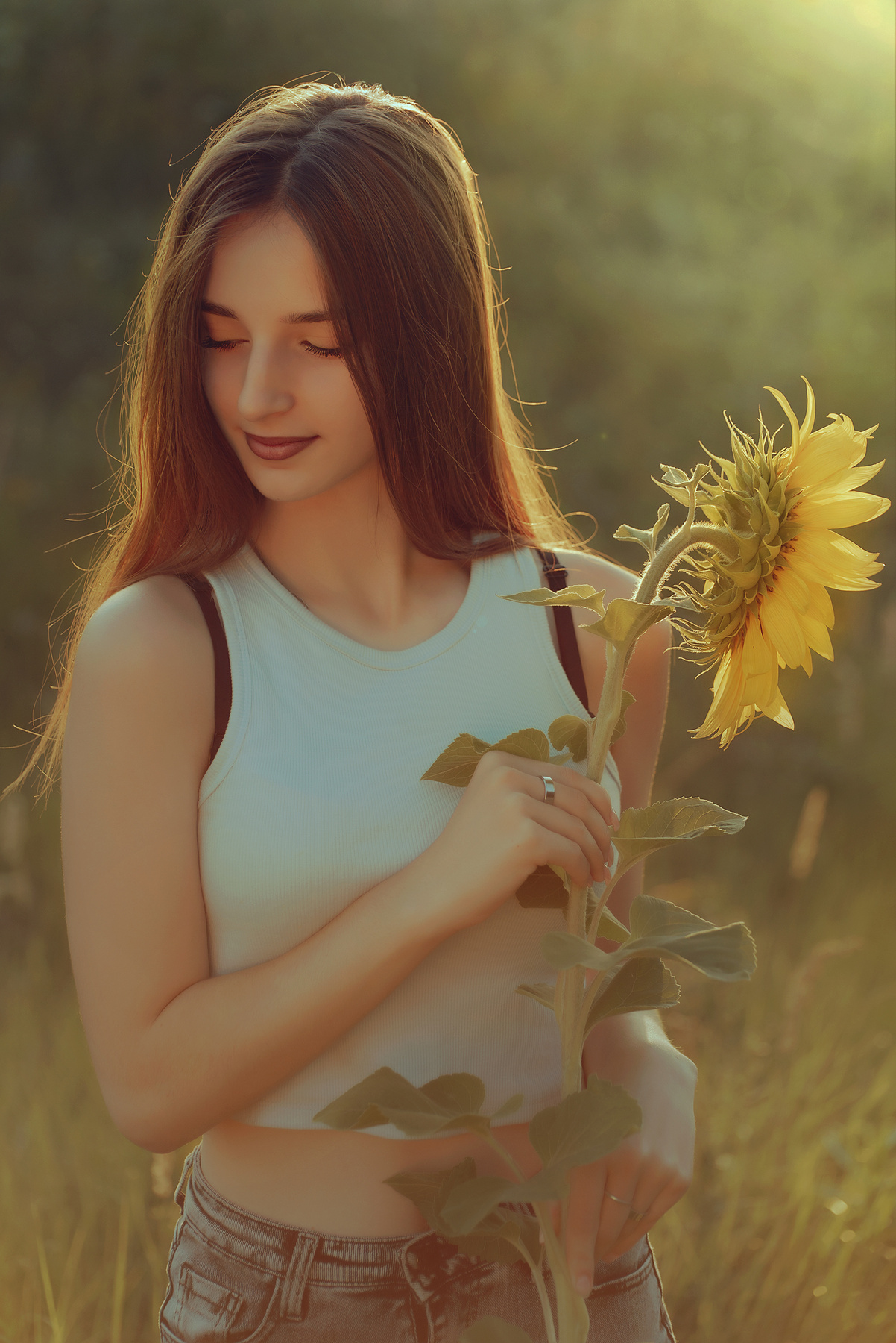 Август природа лето закат поле подсолнух девушка вечер