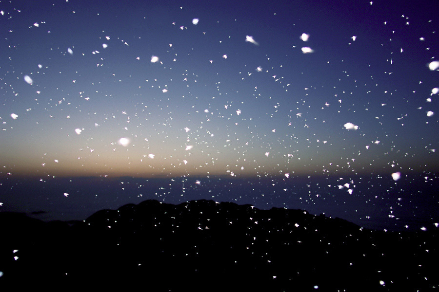 this is not a snow :) 