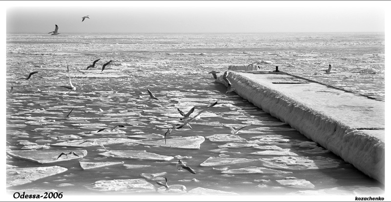 Антарктида - 2 Одесса, Аркадия